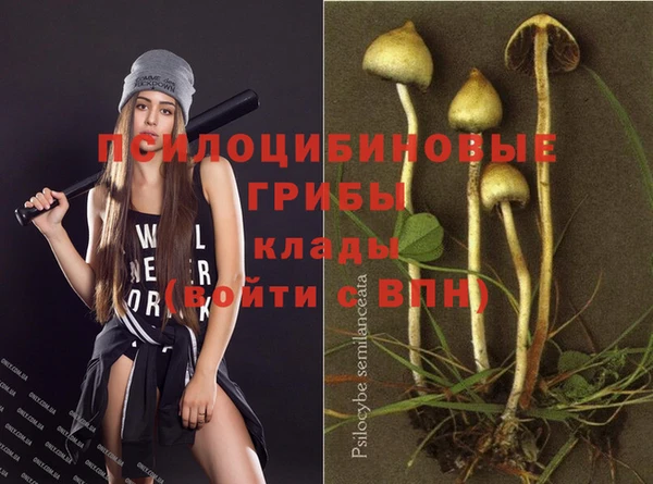 ALPHA-PVP Козельск